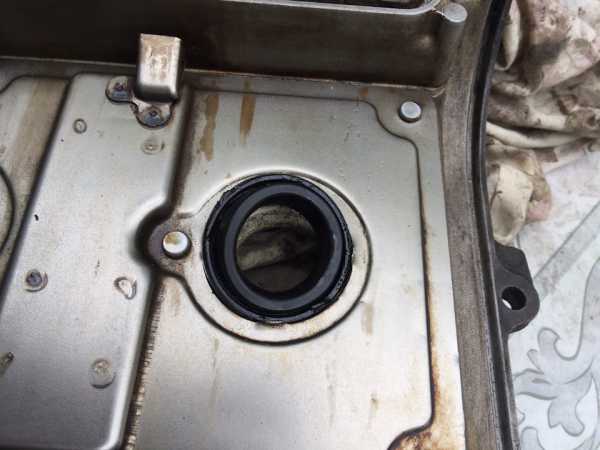6205ff9s-960.jpg