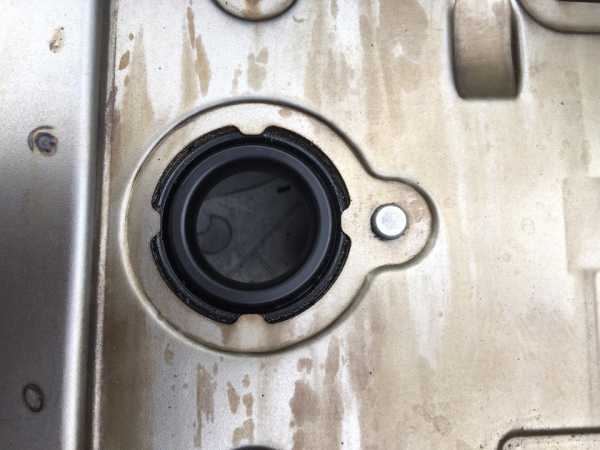 2205ff9s-960.jpg