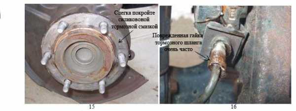 Front_Calipers_10.jpg